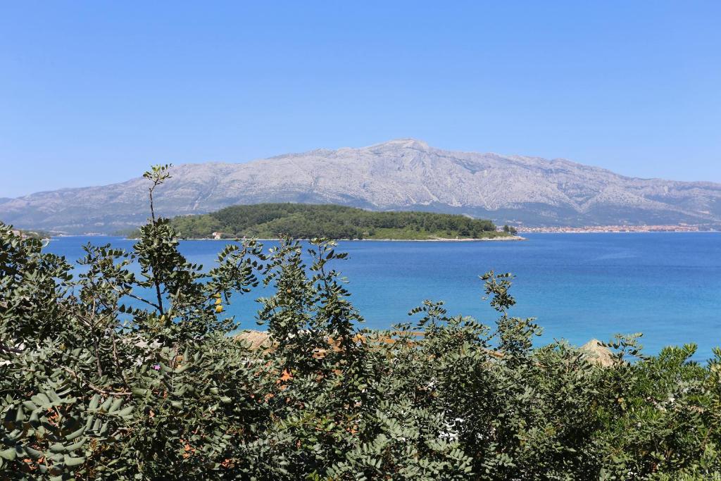 Príroda v okolí apartmánu
