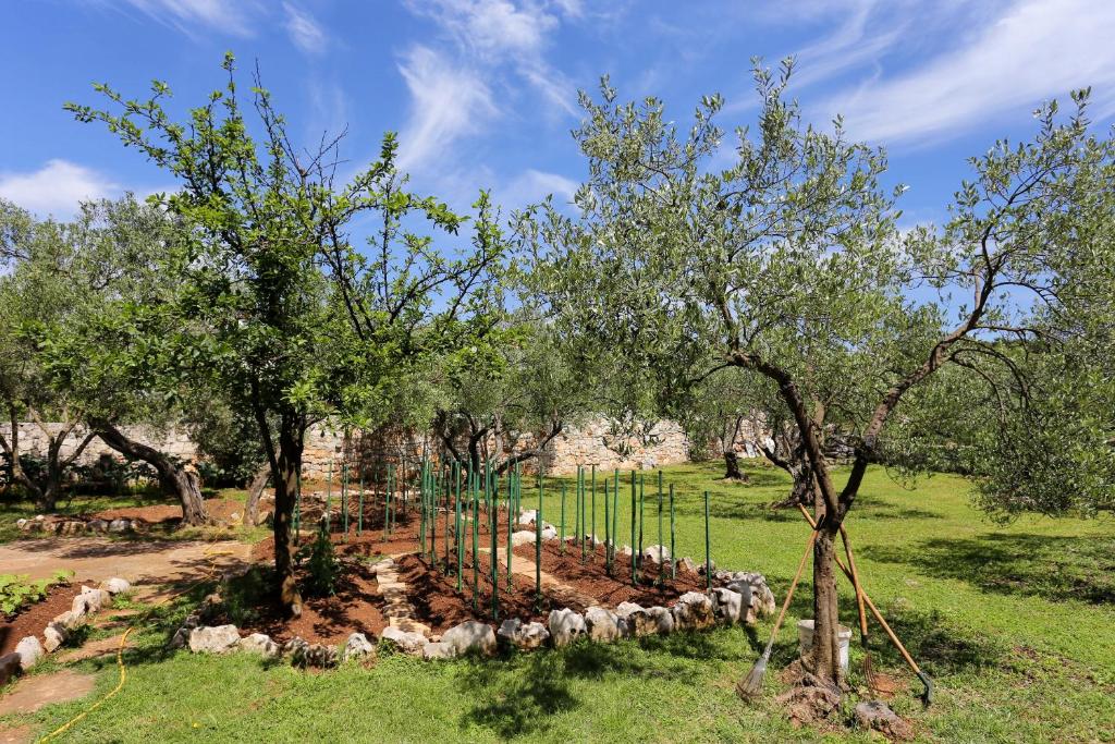 Zahrada ubytování Apartments by the sea Lumbarda, Korcula - 4393