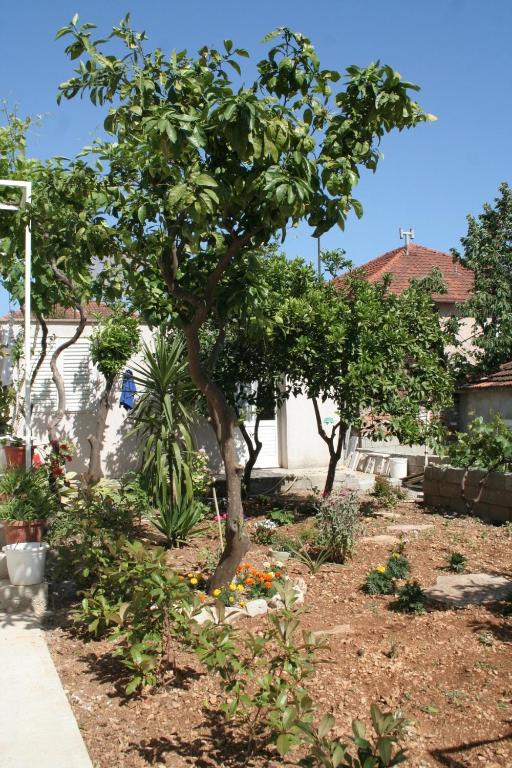 Fotografia z galérie ubytovania Apartments with a parking space Orebic, Peljesac - 4554 v destinácii Orebić