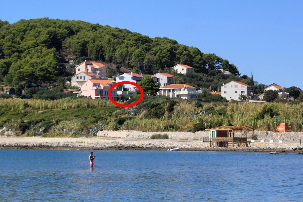 Příroda nedaleko apartmánu