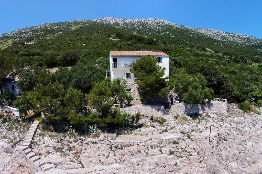 Príroda v okolí apartmánu