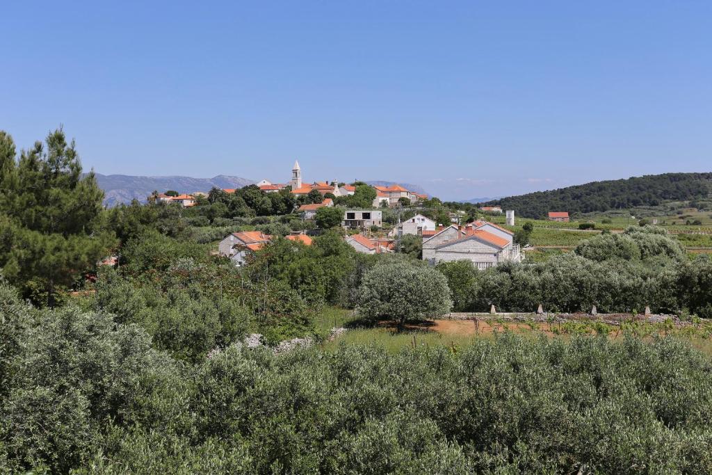 Príroda v okolí apartmánu