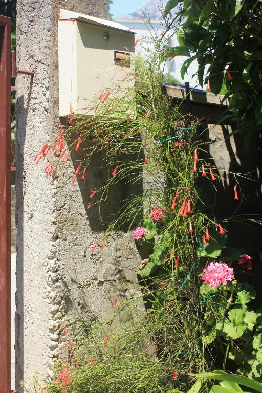Fotografia z galérie ubytovania Apartments with a parking space Orebic, Peljesac - 4516 v destinácii Orebić