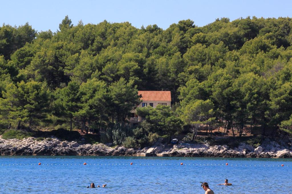 Fotografia z galérie ubytovania Seaside apartments with a swimming pool Lumbarda, Korcula - 4404 v destinácii Lumbarda