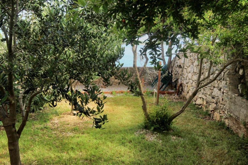 Fotografia z galérie ubytovania Seaside holiday house Orebic, Peljesac - 4569 v destinácii Orebić