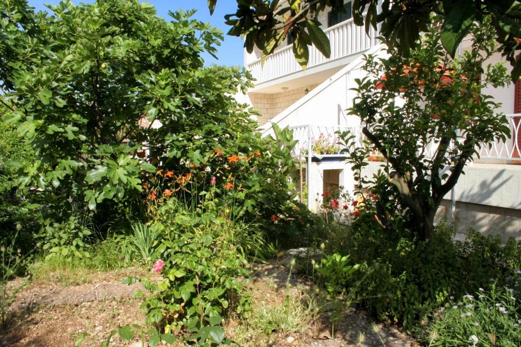 Fotografia z galérie ubytovania Apartments by the sea Orebic, Peljesac - 4562 v destinácii Orebić