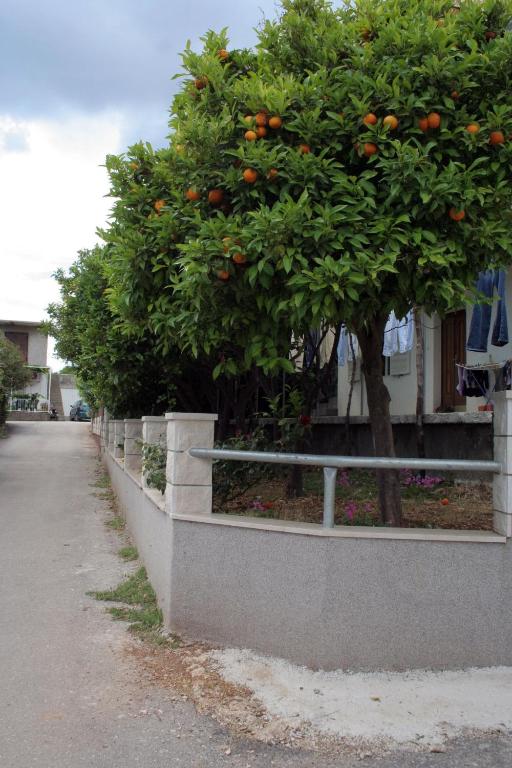 Fotografia z galérie ubytovania Apartments with a parking space Orebic, Peljesac - 4522 v destinácii Orebić