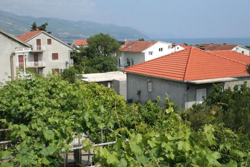 Príroda v okolí apartmánu