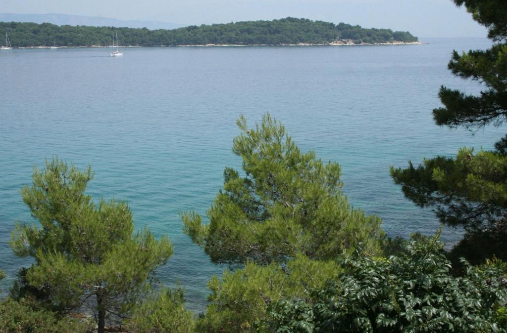 Fotografia z galérie ubytovania Family friendly apartments with a swimming pool Jelsa, Hvar - 4608 v destinácii Jelsa