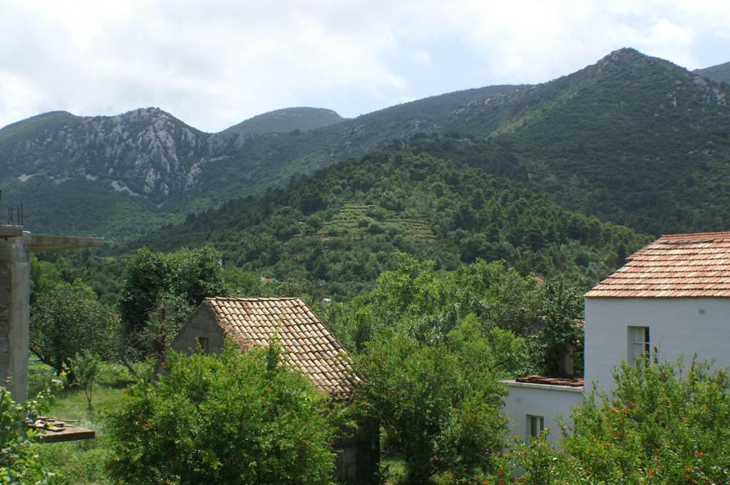 Príroda v okolí apartmánu