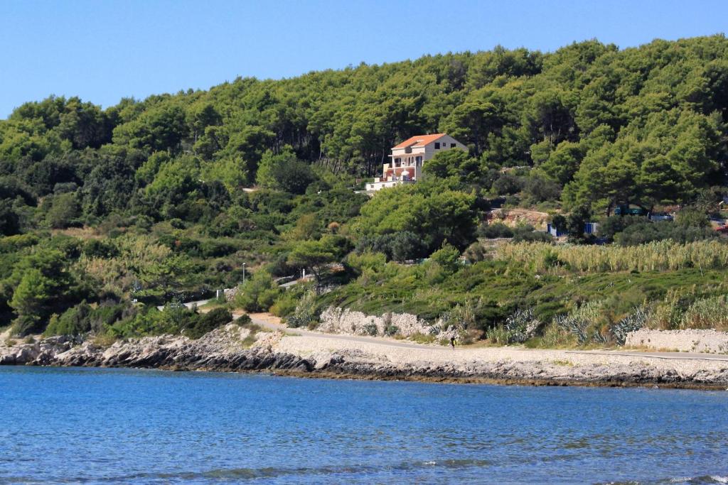 Príroda v okolí apartmánu