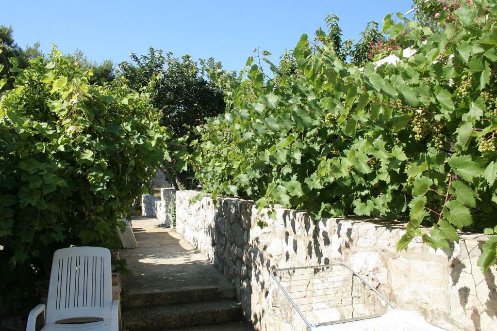 Vonkajšia záhrada v ubytovaní Apartments by the sea Hvar - 4591