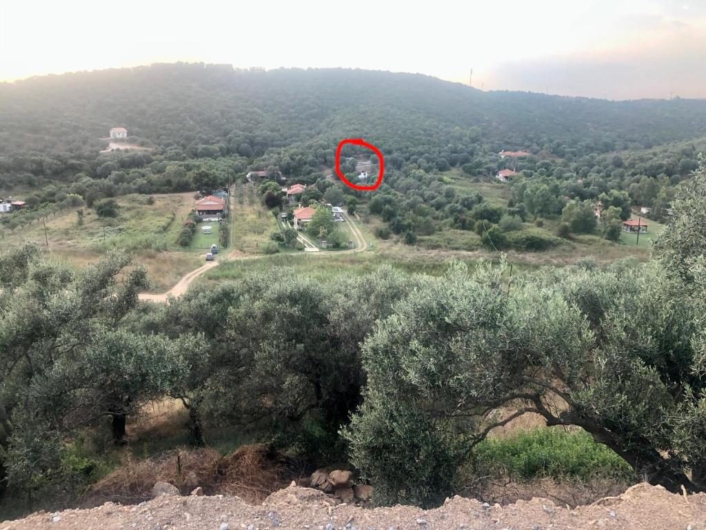 Příroda nedaleko prázdninového domu