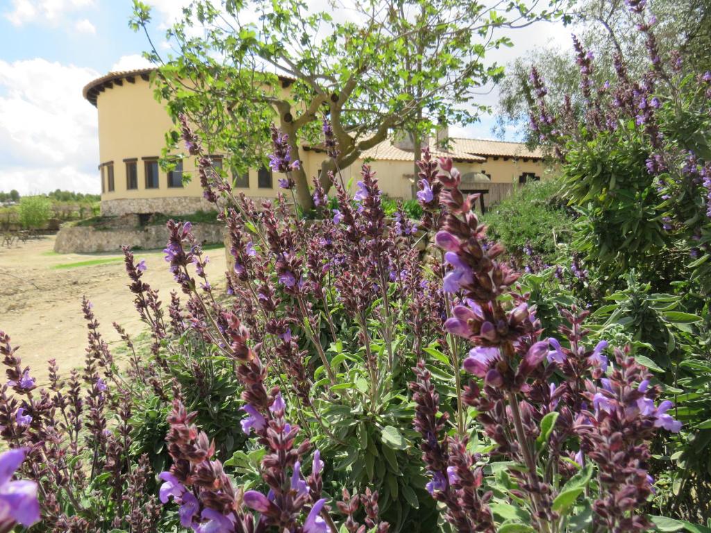 Kép HOTEL ENOTURISMO MAINETES szállásáról Fuente Álamóban a galériában