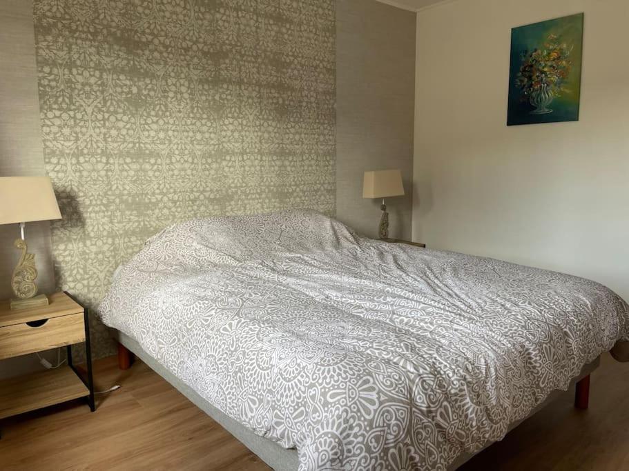 Postel nebo postele na pokoji v ubytování Le gîte de la Champagne
