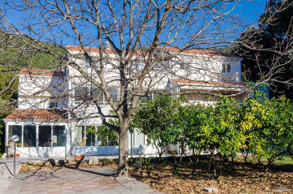 Biały dom z drzewem przed nim w obiekcie Apartments with a parking space Zuljana, Peljesac - 4574 w mieście Žuljana