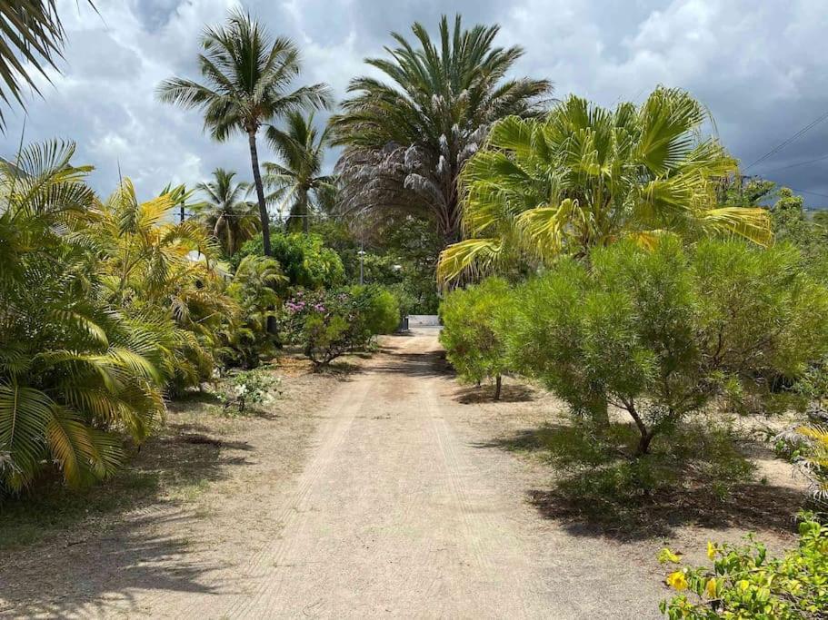 Zahrada ubytování Villa Coco des sables accès direct au lagon