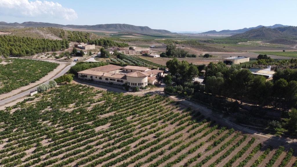 Kép HOTEL ENOTURISMO MAINETES szállásáról Fuente Álamóban a galériában