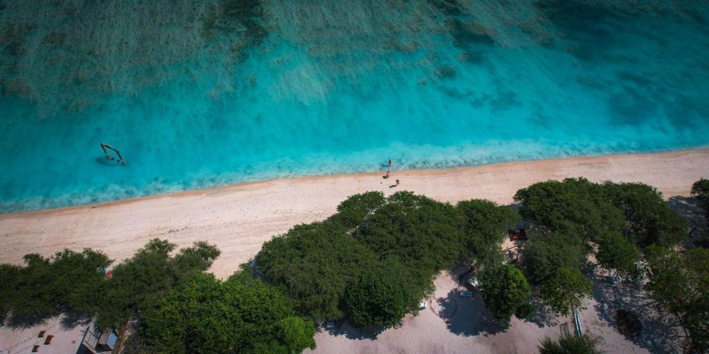 an overhead view of a beach with trees and the ocean at Gili Teak Beach Front Resort in Gili Trawangan