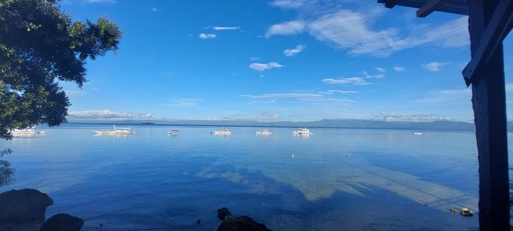 vista su una grande cassa d'acqua con dentro imbarcazioni di Sunnyside Moalboal - 써니사이드 모알보알 게스트 하우스 a Moalboal