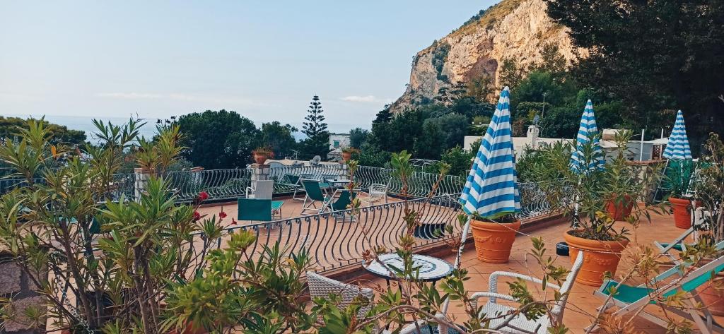 カプリにあるホテル 4 スタジョーニの鉢植えの植物と青白の傘が飾られた庭園