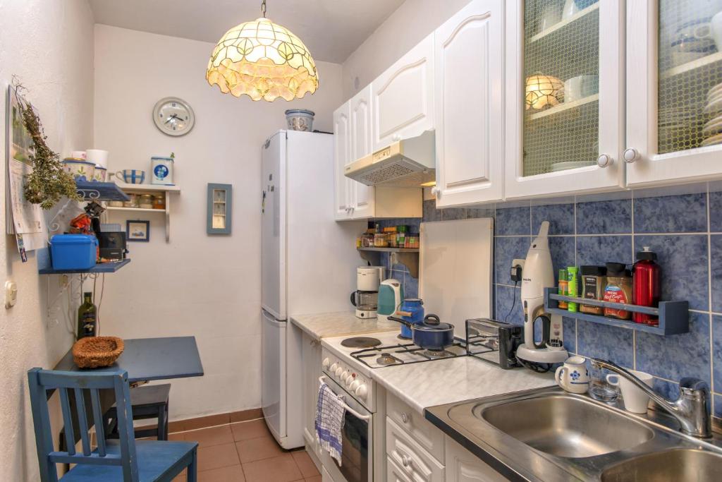 Kuchyň nebo kuchyňský kout v ubytování Villa Cincilograd