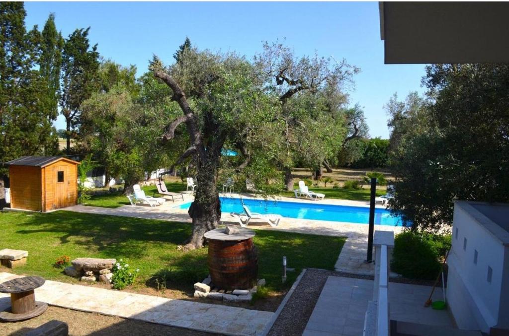 einen Hinterhof mit einem Baum und einem Pool in der Unterkunft Salento- Villa Torricella in Leverano