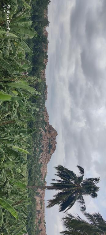 Paesaggio naturale nelle vicinanze dell'affittacamere