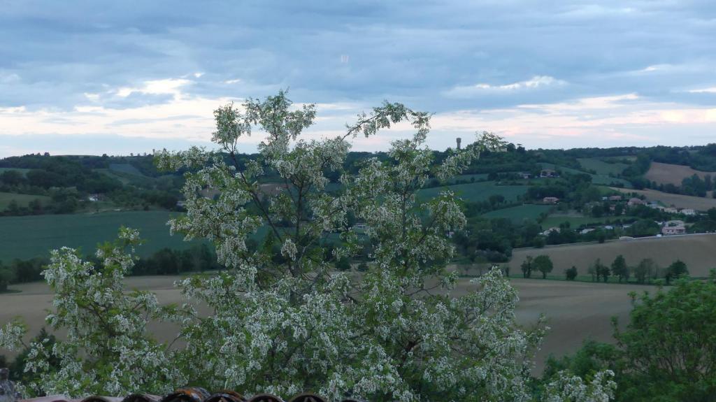 Príroda v okolí dovolenkového domu