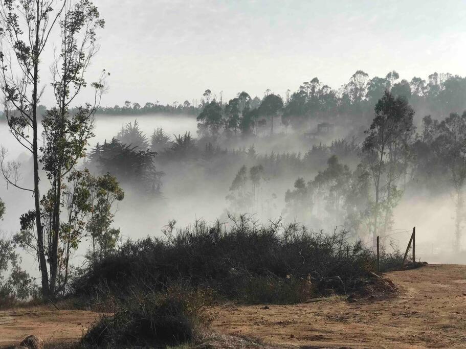a foggy field with trees in the background with a field with a forest at Cabaña Bosque Tunquen in Valparaíso