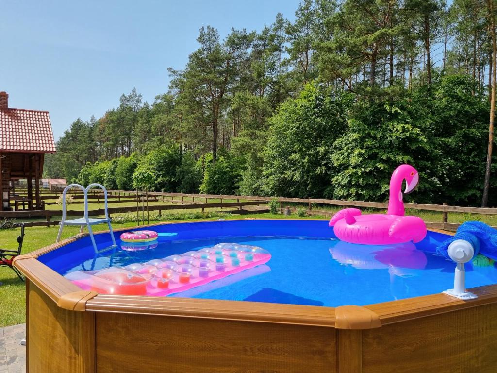 Bazén v ubytování Domek z basenem nad jeziorem Gwiazdy, Ostoja Bukowo, Kaszuby nebo v jeho okolí