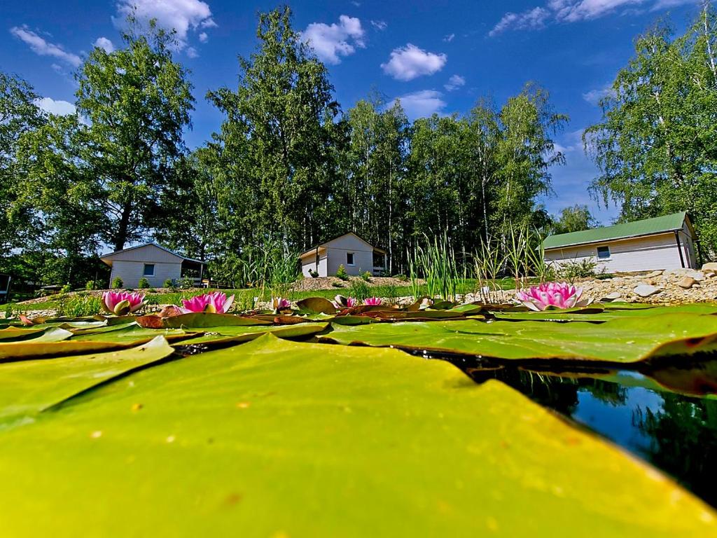 Zahrada ubytování Obora resort