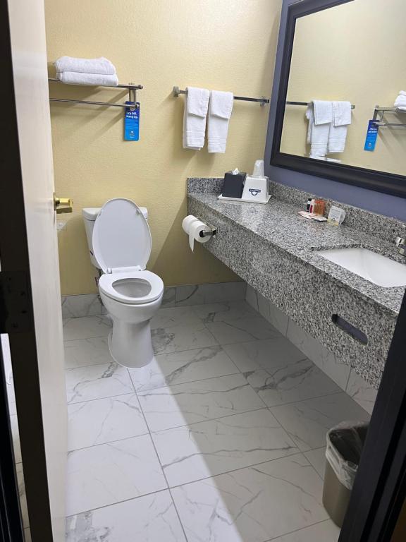 Days Inn by Wyndham Mauldin/Greenville - King Studio Suite - Non-fumeur