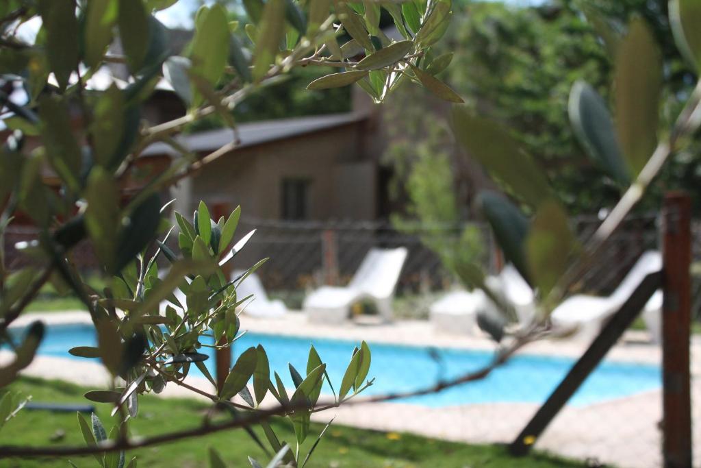 vista sulla piscina attraverso un albero di Rancho Pampa a Villa Ciudad Parque