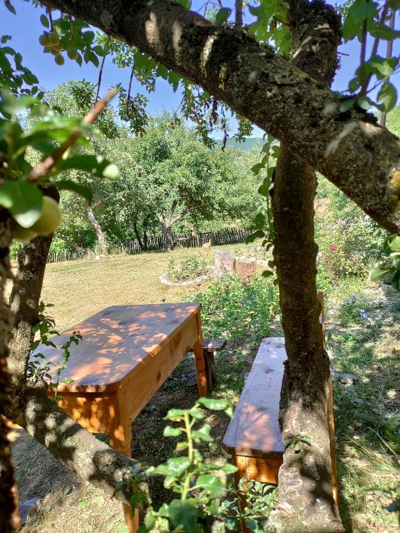 Zahrada ubytování Village House