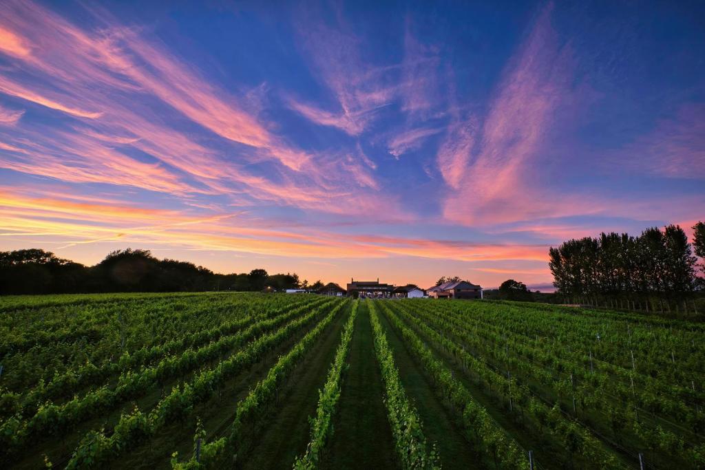 um campo de culturas com um pôr-do-sol ao fundo em Llanerch Vineyard Hotel em Hensol