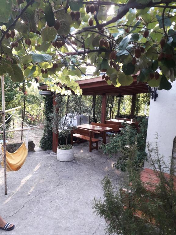 Zahrada ubytování Kamp Seosko domaćinstvo Radman