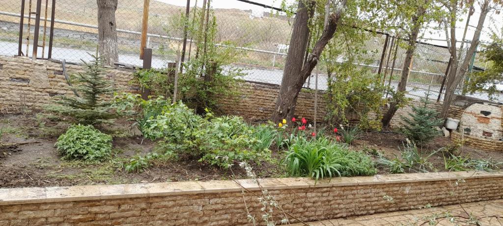 Zahrada ubytování Large, sunny 2nd floor with separate enterance.