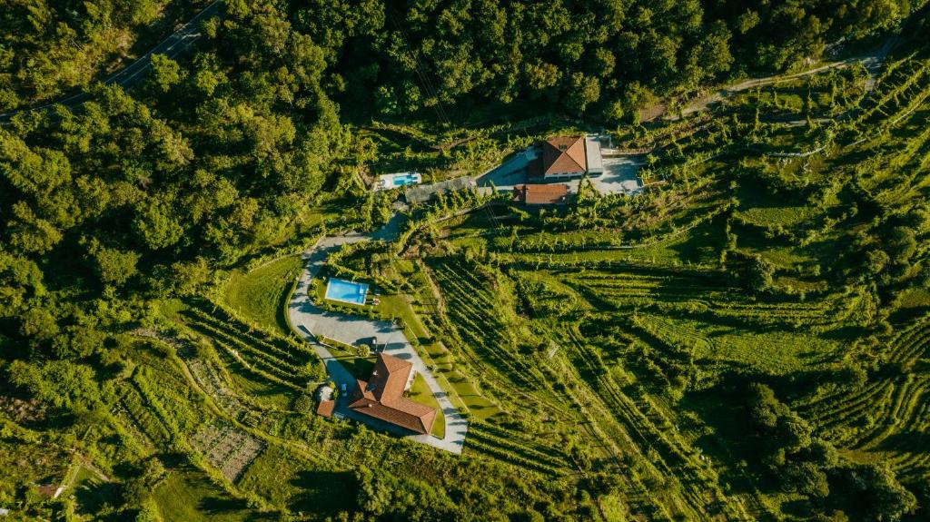 an aerial view of a house in a forest at Casa da Adega - Quinta da Portela in Terras de Bouro