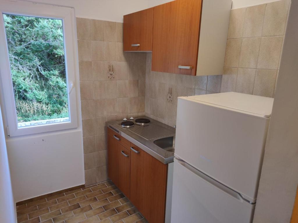 Kuchyň nebo kuchyňský kout v ubytování Apartments Prosika