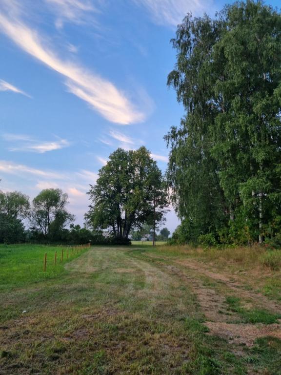 Příroda nedaleko luxury tent