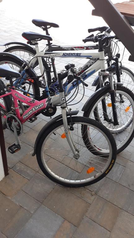 Jazda na bicykli v okolí ubytovania Zimmerferi Apartman Keszthely