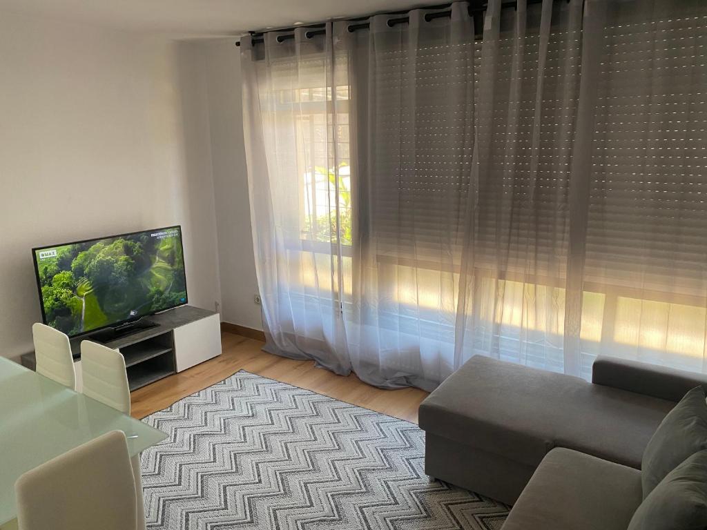 salon z kanapą i telewizorem w obiekcie Apartamento Centrico y Tranquilo El Rinconcito w mieście Ourense