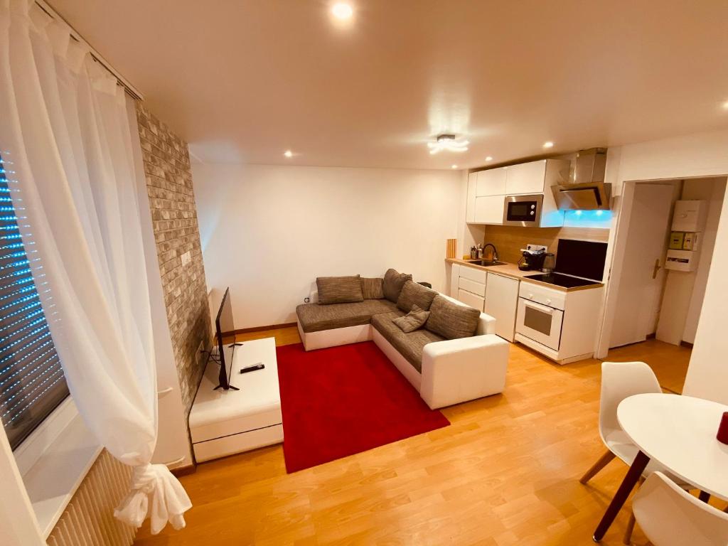 a living room with a couch and a red rug at PETiT MULHOUSE 201 in Mulhouse