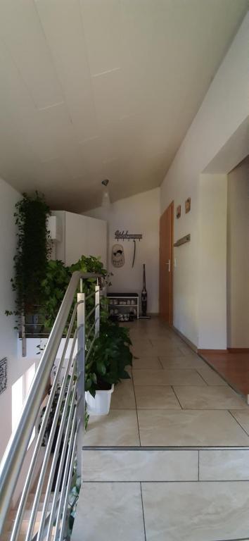 Kuchyň nebo kuchyňský kout v ubytování Haus Elvira