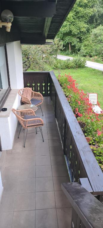Zahrada ubytování Apartma Vidic
