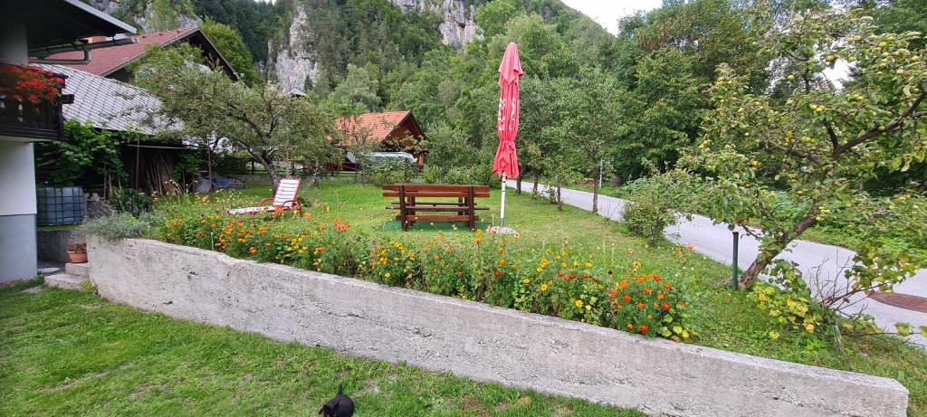 Zahrada ubytování Apartma Vidic