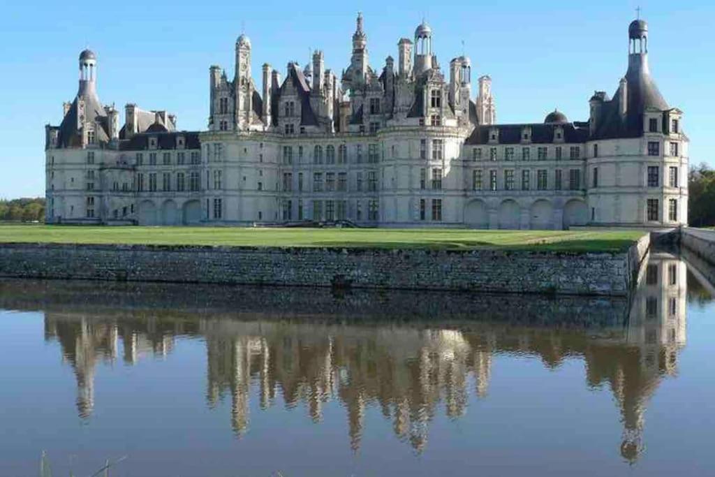 Appartement cœur de Blois /heart of the city