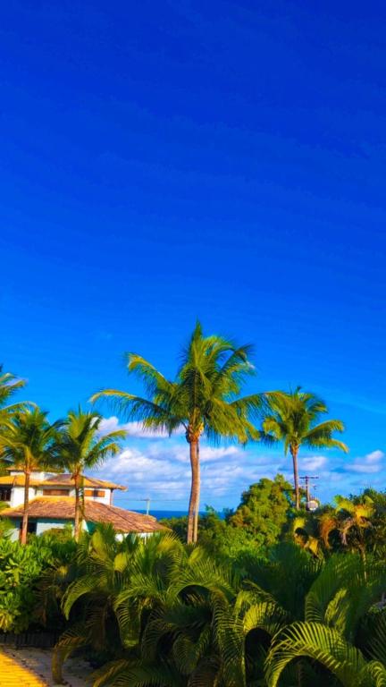 a group of palm trees in front of a house at Espelho Bahia Blue House in Praia do Espelho