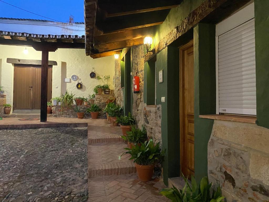 a house with green walls and a door and potted plants at CASA RURAL EL OLIVO in Logrosán